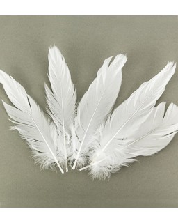 Feathers Pure White