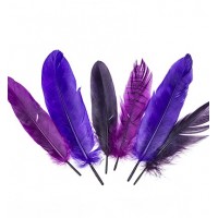 Feathers Magic