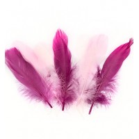 Feathers Pink