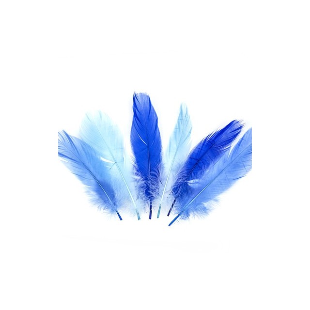 Feathers Blue