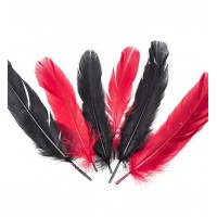 Feathers Gala