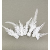 Feathers Pure White