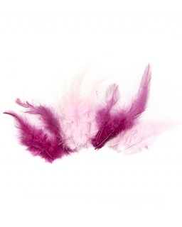 Feathers Pink