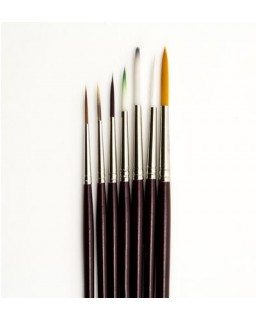 Artist Brush Set